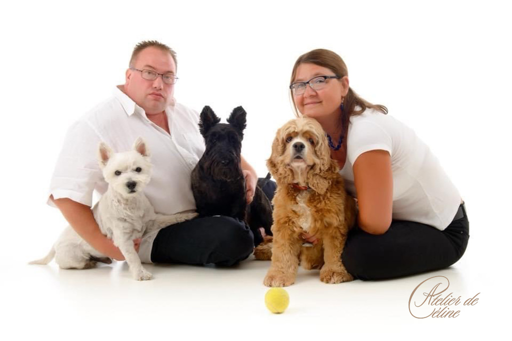 Aujourdhui cest la journée mondiale du chien Atelier de Céline